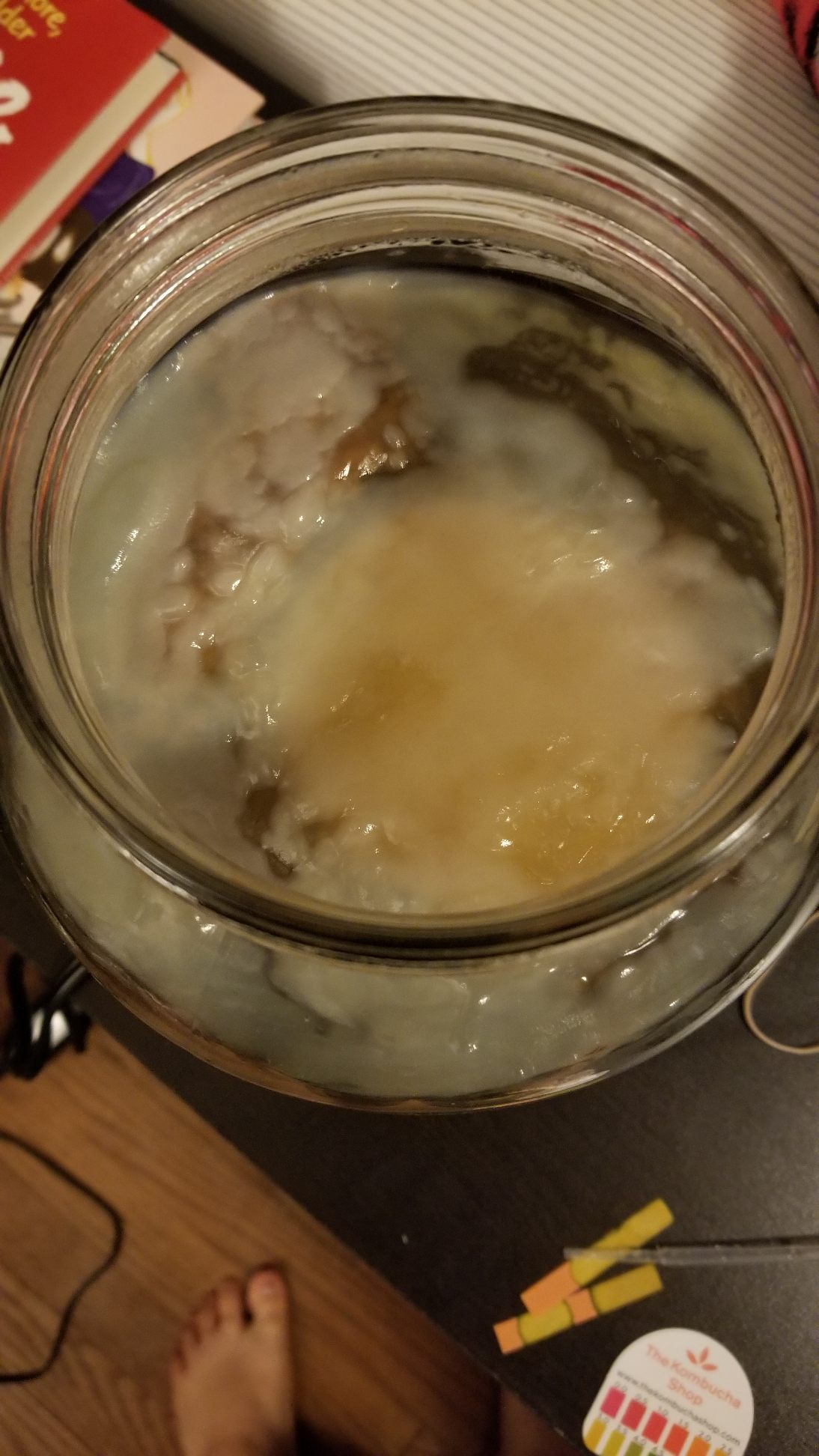 Day 7 Scoby
